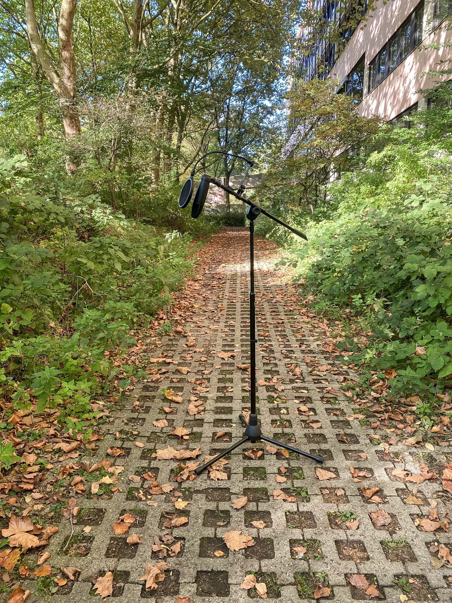 Ein Mikrofon auf einem ruhigen, grünen Weg vor dem Studio
